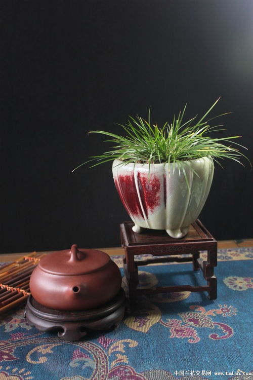 宜兴紫砂二厂精品茶壶原矿高工房玉兰 矮石瓢350cc