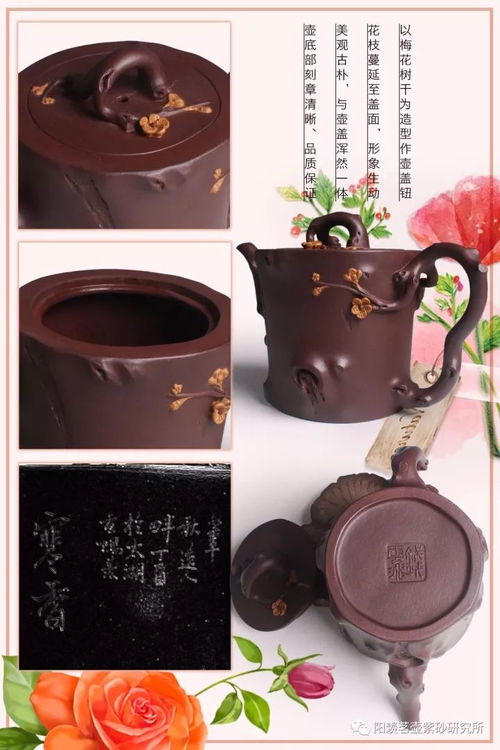 每日一福 壶 寒香